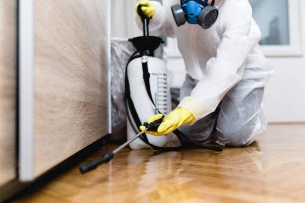  Salem, NC Pest Control Pros