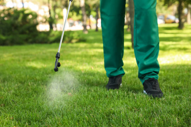Best Rat Extermination Near Me  in Salem, NC