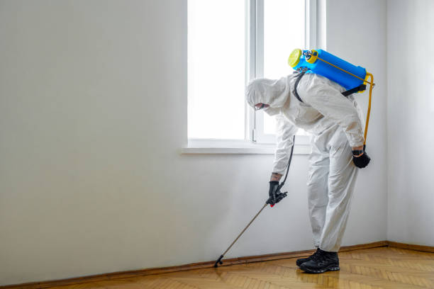 Best Pest Prevention Services  in Salem, NC