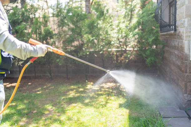 Best Exterminator Services  in Salem, NC