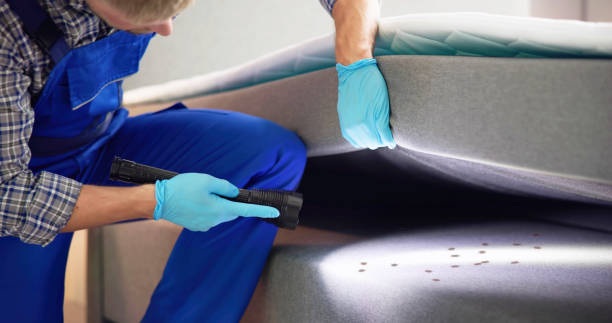 Best Pest Control for Restaurants  in Salem, NC
