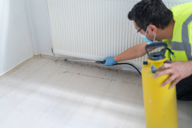 Best Best Pest Control Companies  in Salem, NC
