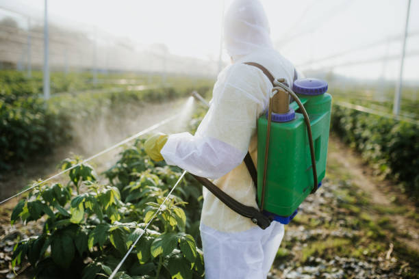 Best Best Pest Control Companies  in Salem, NC